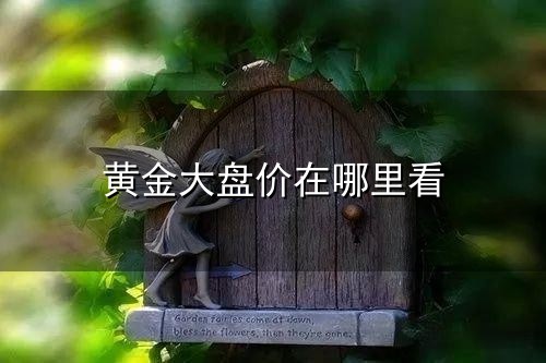 黄金大盘价在哪里看和大盘 黄金大盘价在哪里看与大盘