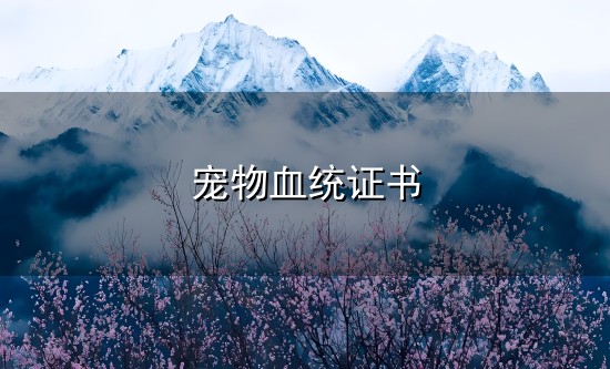 宠物血统证书和血统 宠物血统证书与血统