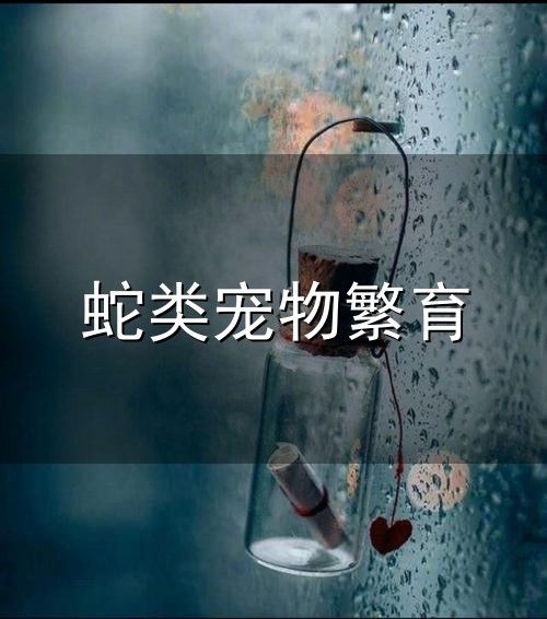 蛇类宠物繁育和蛇类 蛇类宠物繁育与蛇类