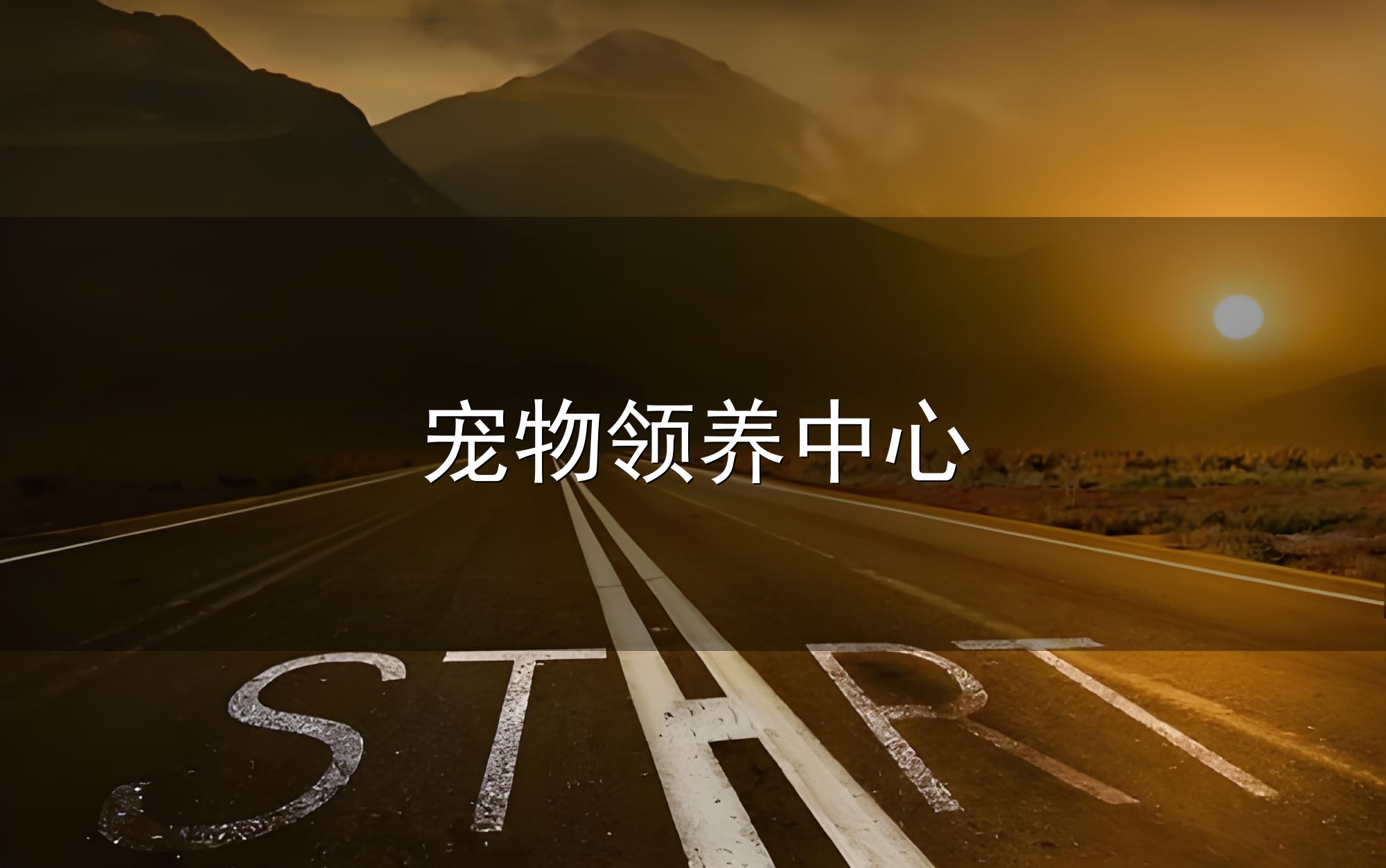 宠物领养中心与领养