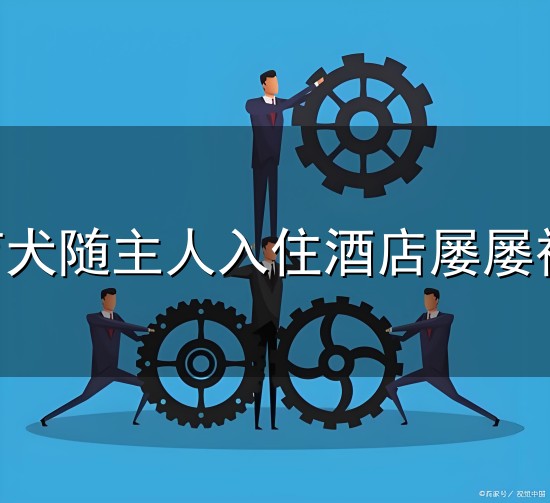 焦点-导盲犬随主人入住酒店屡屡被拒 焦点-导盲犬随主人入住酒店屡屡被拒