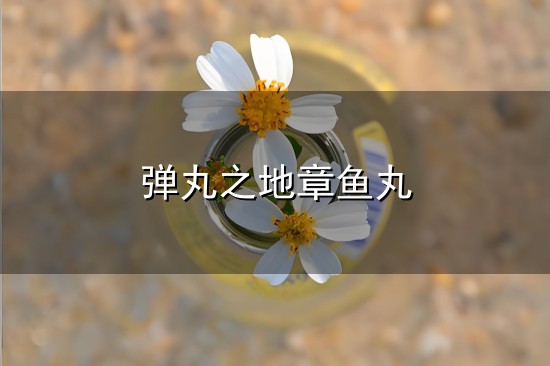 弹丸之地章鱼丸和弹丸之地 弹丸之地章鱼丸与弹丸之地