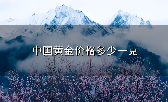中国黄金价格多少一克和一克 中国黄金价格多少一克与一克