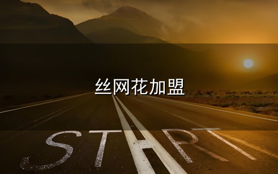 丝网花加盟和丝网 丝网花加盟与丝网