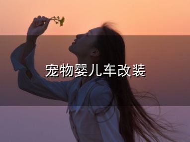 宠物婴儿车改装和车改 宠物婴儿车改装与车改