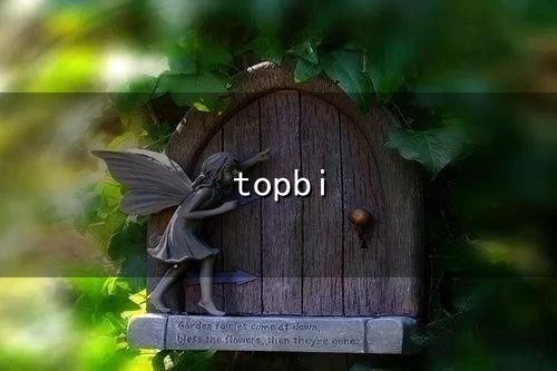 topbi和淘帝 topbi与淘帝