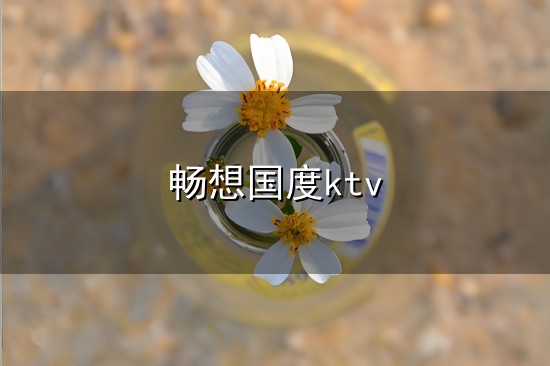 畅想国度ktv 畅想国度KTV,超值团购,中包房茶水欢唱