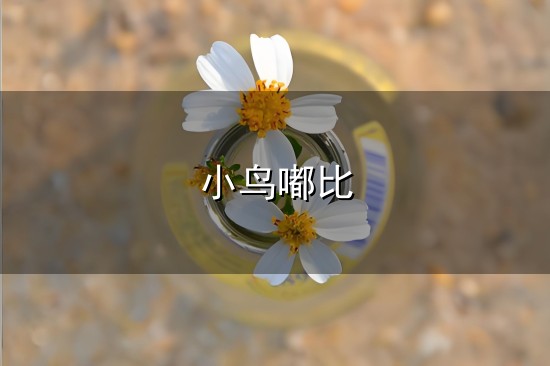小鸟嘟比和小鸟嘟比 小鸟嘟比与小鸟嘟比