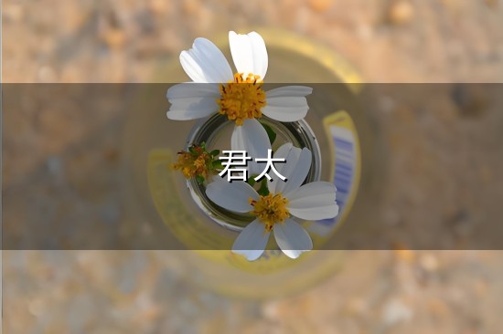君太和君太 君太与君太