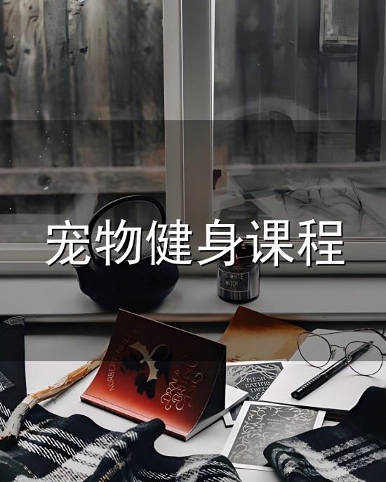 宠物健身课程与健身