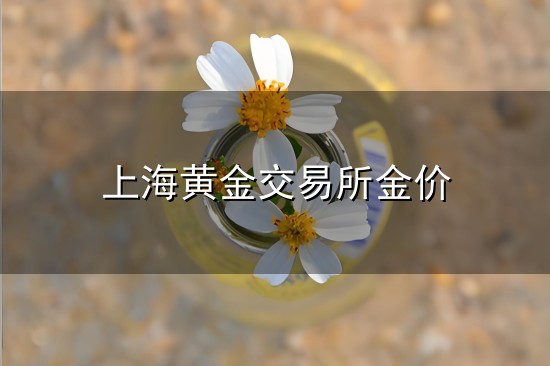上海黄金交易所金价与金价