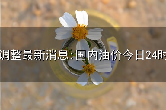 油价调整最新消息:国内油价今日24时上调与油价