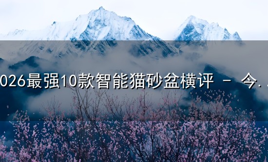 2026最强10款智能猫砂盆横评 2026最强10款智能猫砂盆横评