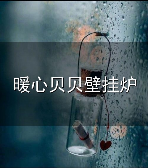 暖心贝贝壁挂炉和贝贝 暖心贝贝壁挂炉与贝贝