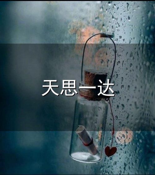 天思一达与天思一达
