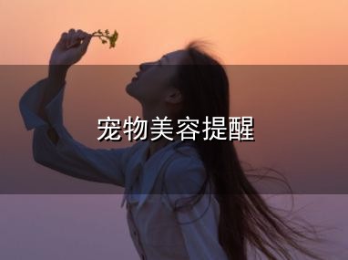 宠物美容提醒与宠物美容