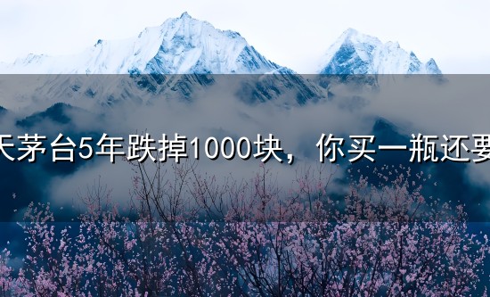 飞天茅台5年跌掉1000块，你买一瓶还要2000-差价被谁吃了？