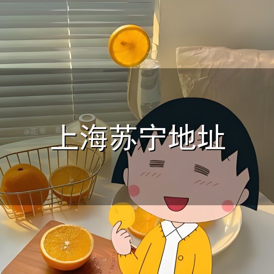 上海苏宁地址和苏宁 上海苏宁地址与苏宁