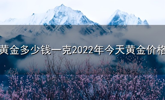 黄金多少钱一克2022年今天黄金价格和一克 黄金多少钱一克2022年今天黄金价格与一克