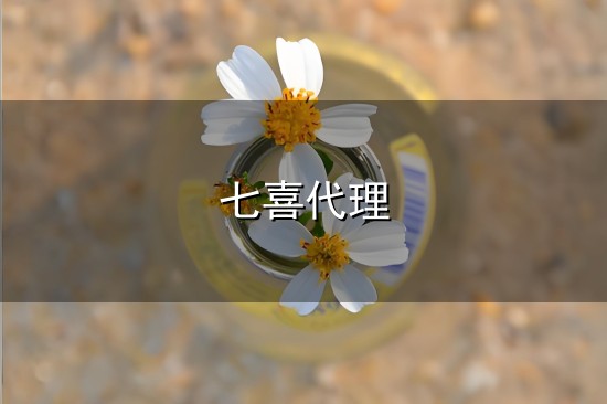 七喜代理和七喜 七喜代理与七喜