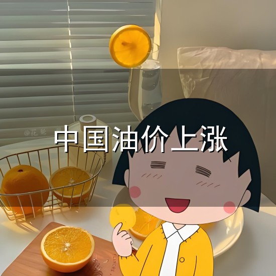 中国油价上涨与中国
