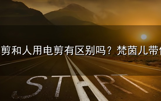 宠物电剪和人用电剪有区别吗？梵茵儿带你了解差异