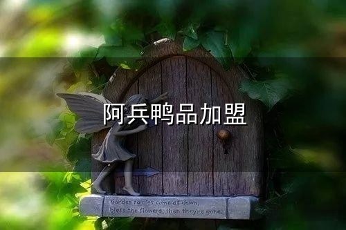 阿兵鸭品加盟与阿兵鸭品加盟