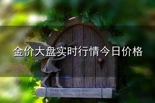 金价大盘实时行情今日价格和实时行情 金价大盘实时行情今日价格与实时行情