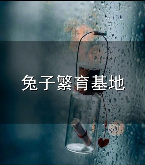 兔子繁育基地与繁育