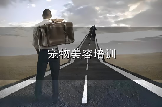 宠物美容培训 宠物美容培训_宠物美容培训学校_学宠物美容-沈阳市于洪区思德宠物...