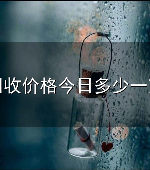 黄金回收价格今日多少一克最新与一克