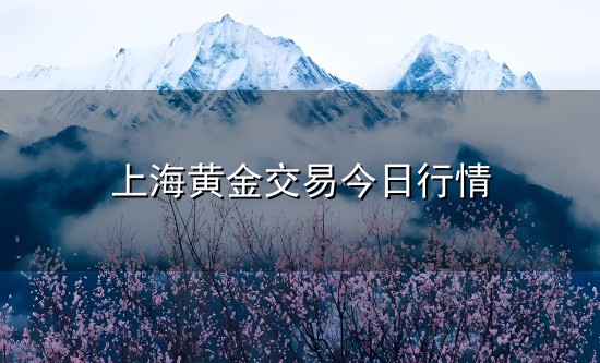 上海黄金交易今日行情和上海 上海黄金交易今日行情与上海