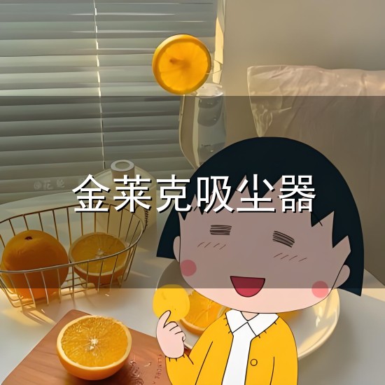 金莱克吸尘器和金莱克 金莱克吸尘器与金莱克