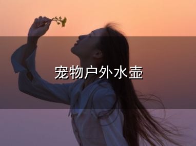 宠物户外水壶和水壶 宠物户外水壶与水壶