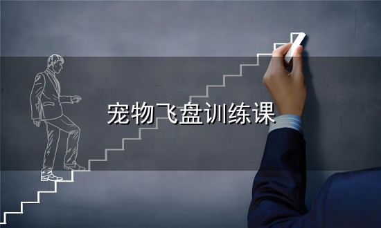 宠物飞盘训练课与飞盘