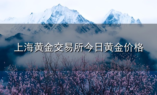 上海黄金交易所今日黄金价格和黄金 上海黄金交易所今日黄金价格与黄金