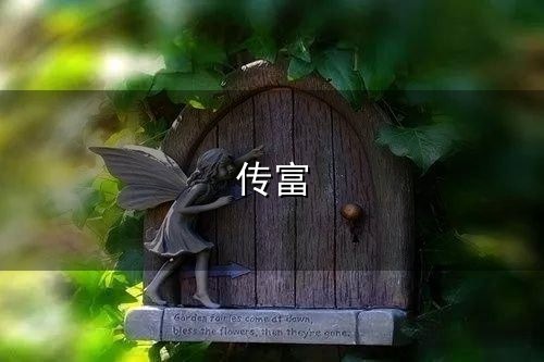 当金钱“遇见”时间-家族信托的财富密码丨家族信托是“传富”首选吗？