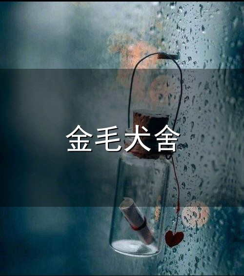 云浮云安区买狗避坑实录，金毛边牧正规犬舍挑选心得