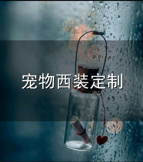 宠物西装定制和西装 宠物西装定制与西装