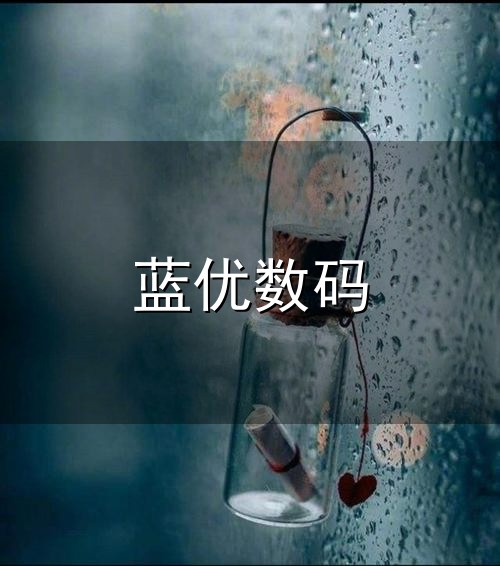 蓝优数码和数码 蓝优数码与数码