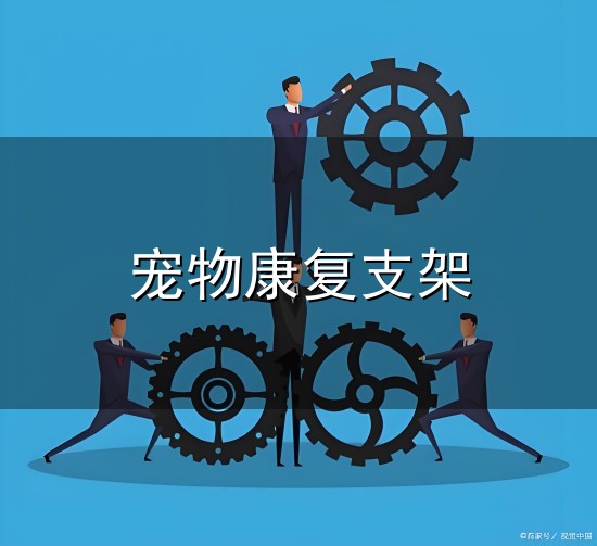 宠物康复支架和支架 宠物康复支架与支架