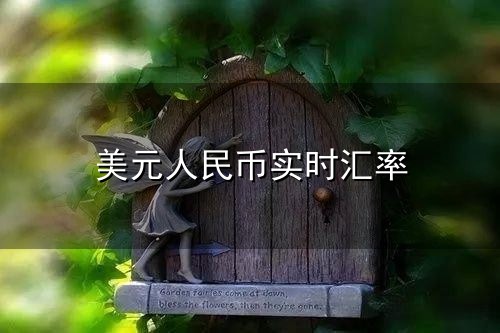 美元人民币实时汇率与汇率