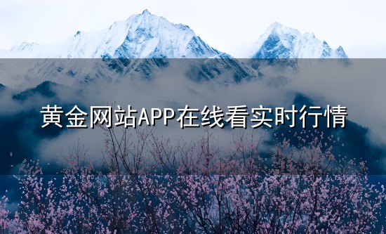 黄金网站APP在线看实时行情与实时行情