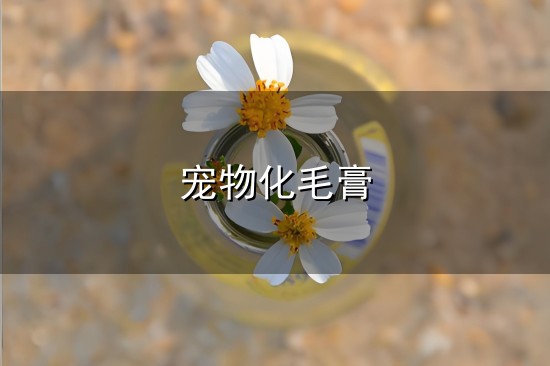 宠物化毛膏与物化