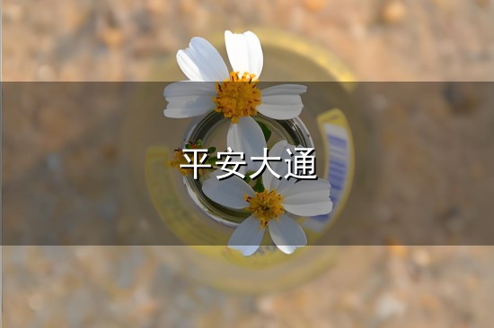 平安大通与大通