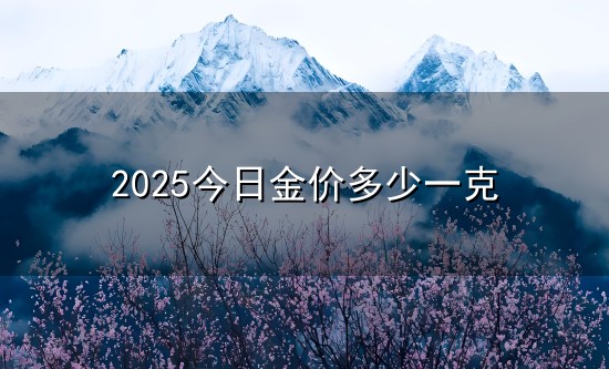 2025今日金价多少一克和一克 2025今日金价多少一克与一克