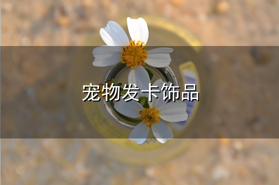 宠物发卡饰品和发卡 宠物发卡饰品与发卡