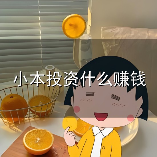 小本投资什么赚钱与小本