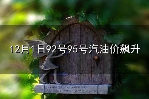 12月1日92号95号汽油价飙升与汽油价
