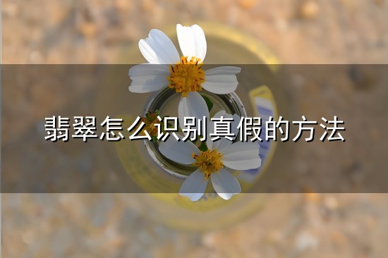 翡翠怎么识别真假的方法与翡翠